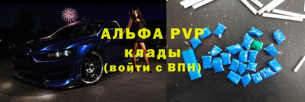 гидра Няндома