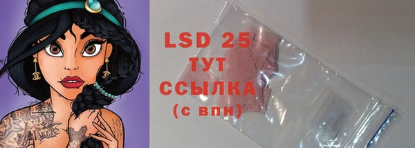молекула духа Новодвинск