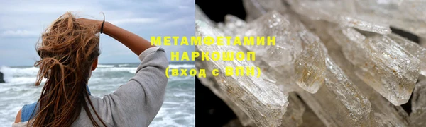 гидра Няндома