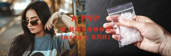 гидра Няндома