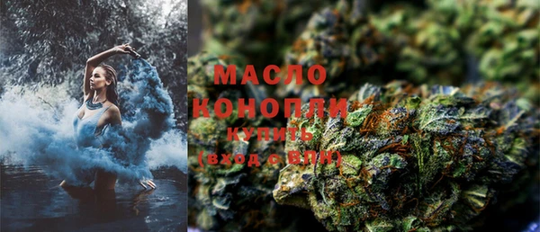 гидра Няндома