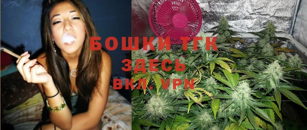 гидра Няндома