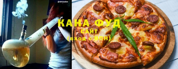 гидра Няндома