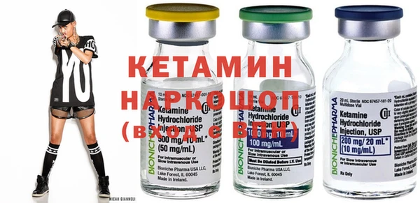 гидра Няндома
