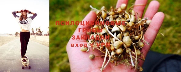 МДМА Новозыбков