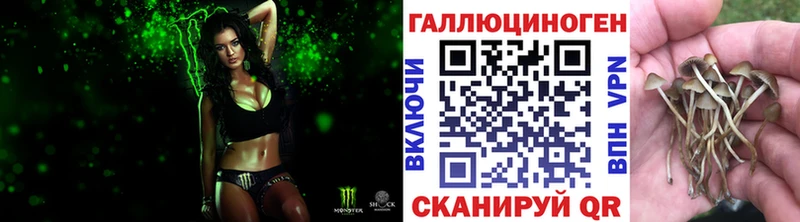 купить  сайты  Свободный  Псилоцибиновые грибы GOLDEN TEACHER 