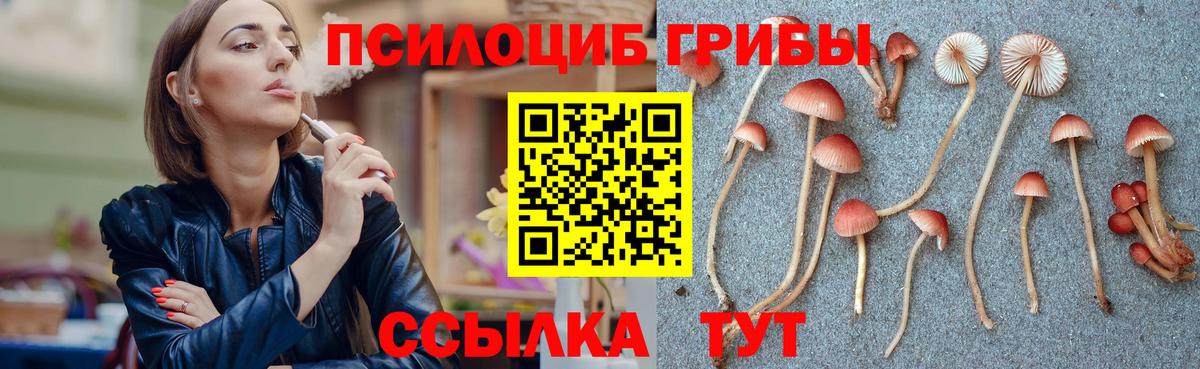 Свободный  Псилоцибиновые грибы ЛСД  Вход с VPN 